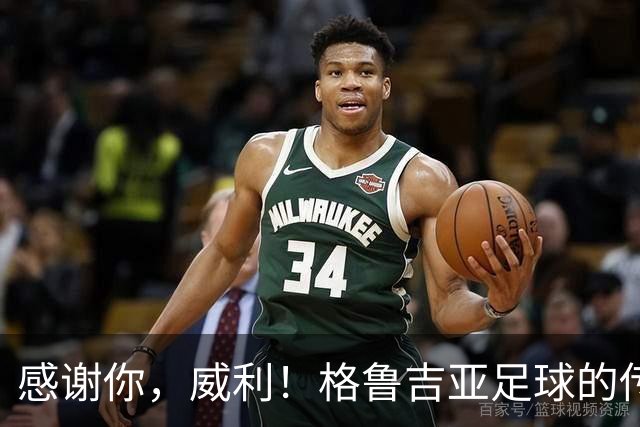 感谢你，威利！格鲁吉亚足球的传奇之旅